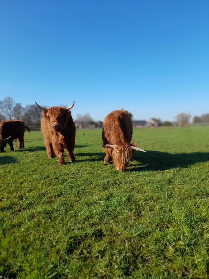 Hannekenbuurs Kleine Kune Kune Farm Weeze Exterior foto